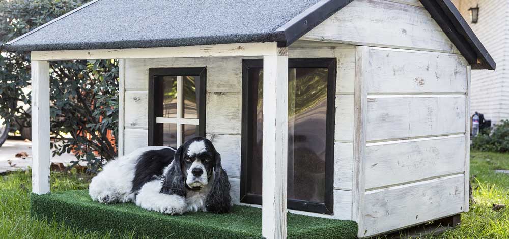 Image of a dog house