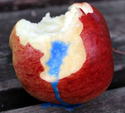 Image of a poison apple as an analogy for Apple Computers.