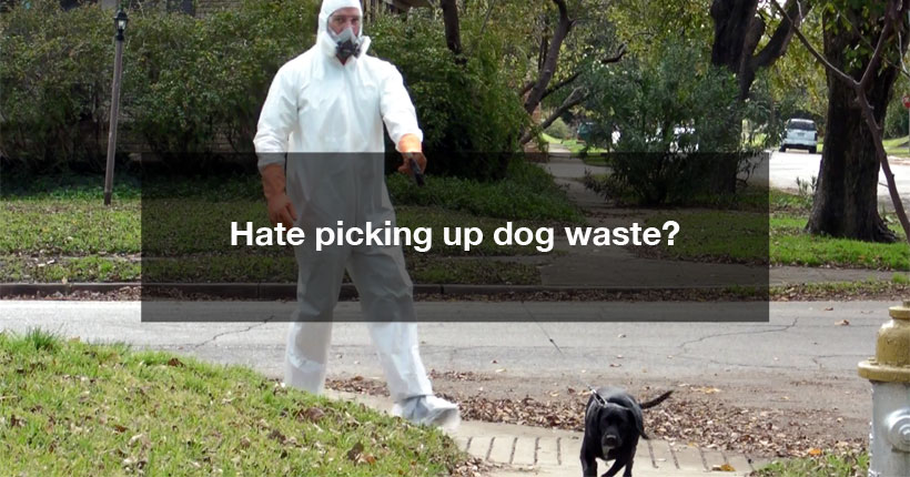 Image of man in full hazmat suit walking his dog.